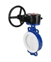 Затвор дисковый поворотный DN.ru WBV3434Pf-2W-Fb-R Ду300 Ру16 корпус - углеродистая сталь WCB, диск - углеродистая сталь WCB, футерованный PTFE, уплотнение - PTFE, межфланцевый, с редуктором