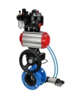 Затвор дисковый поворотный DN.ru WBV1313E-2W-F-H Ду100 Ру16 фланцевый, корпус - чугун GGG40, диск - чугун GGG40, EPDM, с пневмоприводом DN.ru PA-DA-105, пневмораспределителем 4V320-08 AC220V, БКВ APL-510N EX, дублером MON1-250-T26-ISO и БПВ AFC2000