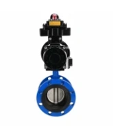 Затвор дисковый поворотный DN.ru WBV1331E-2W-F-H Ду50 Ру16 фланцевый, корпус - чугун GGG40, диск - нержавеющая сталь 304, уплотнение - EPDM, с пневмоприводом DN.ru PA-DA-105-1, 4M310-08 AC220V и APL-410N EX