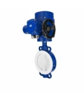 Затвор дисковый поворотный DN.ru WBV3434Pf-2W-Fb-R Ду250 Ру16, корпус - углеродистая сталь WCB, диск - углеродистая сталь WCB, футерованный PTFE, уплотнение - PTFE, с электроприводом QT-N-030M-O2-220VAC-У1