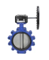 Затвор дисковый поворотный DN.ru WBV1631E-2W-Fb-R Ду200 Ру16 LUG межфланцевый, корпус - чугун QT450, диск - нержавеющая сталь 304, уплотнение - EPDM, с редуктором