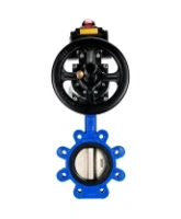 Затвор дисковый поворотный DN.ru WBV1616E-2W-Fb-H Ду125 Ру16 LUG корпус - чугун QT450, диск - чугун QT450, уплотнение - EPDM, с пневмоприводом DN.ru PA-DA-105-1 и БКВ APL-410N EX