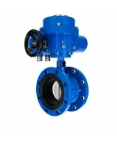 Затвор дисковый поворотный DN.ru WBV1331E-2W-F-H Ду125 Ру16 фланцевый, корпус - чугун GGG40, диск - нержавеющая сталь 304, уплотнение - EPDM, с электроприводом QT-N-030M-O2-220VAC-У1 с моментной муфтой 220В