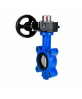 Затвор дисковый поворотный DN.ru WBV1631E-2W-Fb-H Ду100 Ру16 LUG межфланцевый, корпус - чугун QT450, диск - нержавеющая сталь AISI 304, уплотнение - EPDM, с редуктором HGB RQN1-180Z