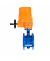 Затвор дисковый поворотный DN.ru WBV1331E-2W-F-H Ду125 Ру16 фланцевый, корпус - чугун GGG40, диск - нержавеющая сталь 304, уплотнение - EPDM, с электроприводом QT-EX-030M-O2-220VAC-У1 с моментной муфтой 220В