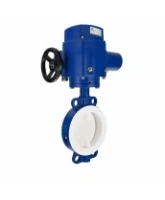 Затвор дисковый поворотный DN.ru WBV3434Pf-2W-Fb-R Ду250 Ру16, корпус - углеродистая сталь WCB, диск - углеродистая сталь WCB, футерованный PTFE, уплотнение - PTFE, с электроприводом QT-N-030M-O2-220VAC-У1