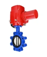 Затвор дисковый поворотный DN.ru WBV1631E-2W-Fb-H Ду125 Ру16 LUG межфланцевый, корпус - чугун QT450, диск - нержавеющая сталь AISI 304, уплотнение - EPDM, с электроприводом QT-EX-015M-O2-220VAC-У1 с моментной муфтой и штурвалом
