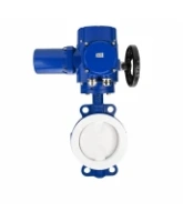 Затвор дисковый поворотный DN.ru WBV3434Pf-2W-Fb-R Ду250 Ру16, корпус - углеродистая сталь WCB, диск - углеродистая сталь WCB, футерованный PTFE, уплотнение - PTFE, с электроприводом QT-N-030M-O2-220VAC-У1