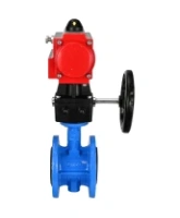 Затвор дисковый поворотный DN.ru WBV1313E-2W-F-H Ду100 Ру16 фланцевый, корпус - чугун GGG40, диск - чугун GGG40, уплотнение - EPDM, с пневмоприводом DN.ru PA-DA-105 и ручным дублером DN.ru MON1-250-T26-ISO
