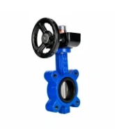 Затвор дисковый поворотный DN.ru WBV1631E-2W-Fb-H Ду100 Ру16 LUG межфланцевый, корпус - чугун QT450, диск - нержавеющая сталь AISI 304, уплотнение - EPDM, с редуктором HGB RQN1-180Z