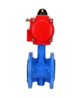 Затвор дисковый поворотный DN.ru WBV1313E-2W-F-H Ду100 Ру16 фланцевый, корпус - чугун GGG40, диск - чугун GGG40, уплотнение - EPDM, с пневмоприводом DN.ru PA-DA-105 двойного действия