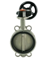 Затвор дисковый поворотный DN.ru 316L-316L-EPDM Ду150 Ру16 межфланцевый, корпус - нержавеющая сталь 316L, диск - нержавеющая сталь 316L, уплотнение - EPDM, с редуктором Pro-Gear X-21-W-200