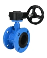 Затвор дисковый поворотный DN.ru WBV1313E-2W-F-H Ду100 Ру16 фланцевый, корпус - чугун GGG40, диск - чугун GGG40, уплотнение - EPDM, с редуктором DN.ru HAM RQN1-180Z-T40