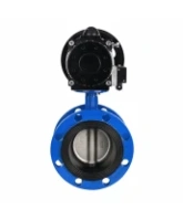 Затвор дисковый поворотный DN.ru WBV1331E-2W-F-H Ду50 Ру16 фланцевый, корпус - чугун GGG40, диск - нержавеющая сталь 304, уплотнение - EPDM, с пневмоприводом DN.ru PA-DA-105-1 и пневмораспределителем 4M310-08 AC220V