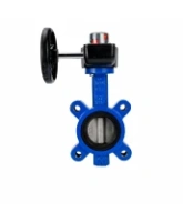 Затвор дисковый поворотный DN.ru WBV1631E-2W-Fb-H Ду100 Ру16 LUG межфланцевый, корпус - чугун QT450, диск - нержавеющая сталь AISI 304, уплотнение - EPDM, с редуктором HGB RQN1-180Z