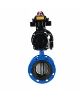 Затвор дисковый поворотный DN.ru WBV1331E-2W-F-H Ду50 Ру16 фланцевый, корпус - чугун GGG40, диск - нержавеющая сталь 304, уплотнение - EPDM, с пневмоприводом DN.ru PA-DA-105-1, 4M310-08 AC220V, APL-410N EX и AFC2000
