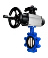Затвор дисковый поворотный DN.ru WBV1616E-2W-Fb-H Ду125 Ру16 LUG корпус - чугун QT450, диск - чугун QT450, уплотнение - EPDM, с пневмоприводом DN.ru PA-DA-105-1 и БКВ APL-210N