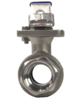 Кран шаровой DN.ru BV3232P(2pc)-FP-T-ISO-H Ду20 Ру63 полнопроходной двухходовой, нержавеющая сталь 316, внутренняя резьба, уплотнение - PTFE, с ISO-фланцем и рукояткой, 9х9, F03/F04