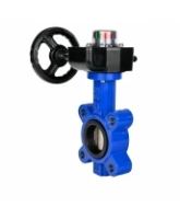 Затвор дисковый поворотный DN.ru WBV1616N-2W-Fb-H Ду80 Ру16 LUG межфланцевый, корпус - чугун QT450, диск - чугун QT450, уплотнение - NBR, с редуктором HGB RQN1-180Z