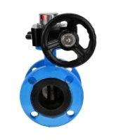 Затвор дисковый поворотный DN.ru WBV1313E-2W-F-H Ду200 Ру16 фланцевый, корпус - чугун GGG40, диск - чугун GGG40, уплотнение - EPDM, с редуктором DN.ru HGB RQN3-680Z